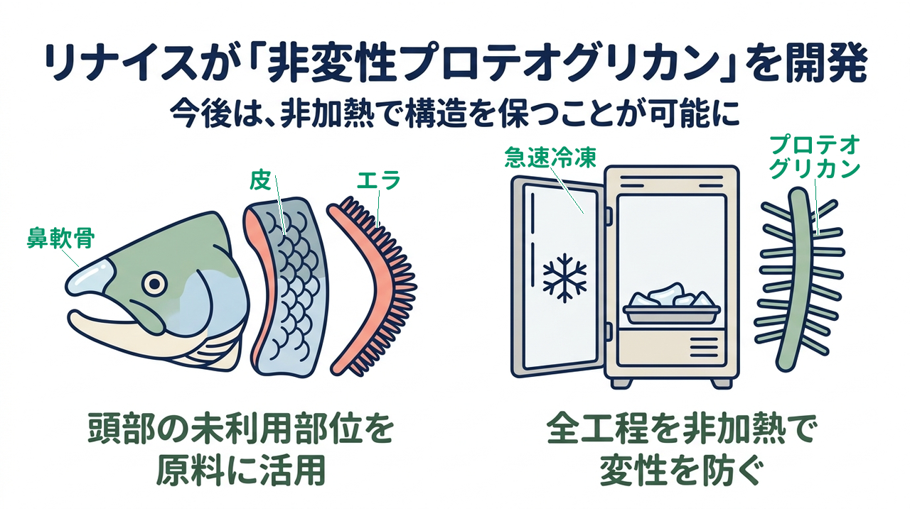リナイスが「非変性プロテオグリカン」を開発｜今後は、非加熱で構造を保つことが可能に｜頭部の未利用部位を・原料に活用／全工程を非加熱で・変性を防ぐ
