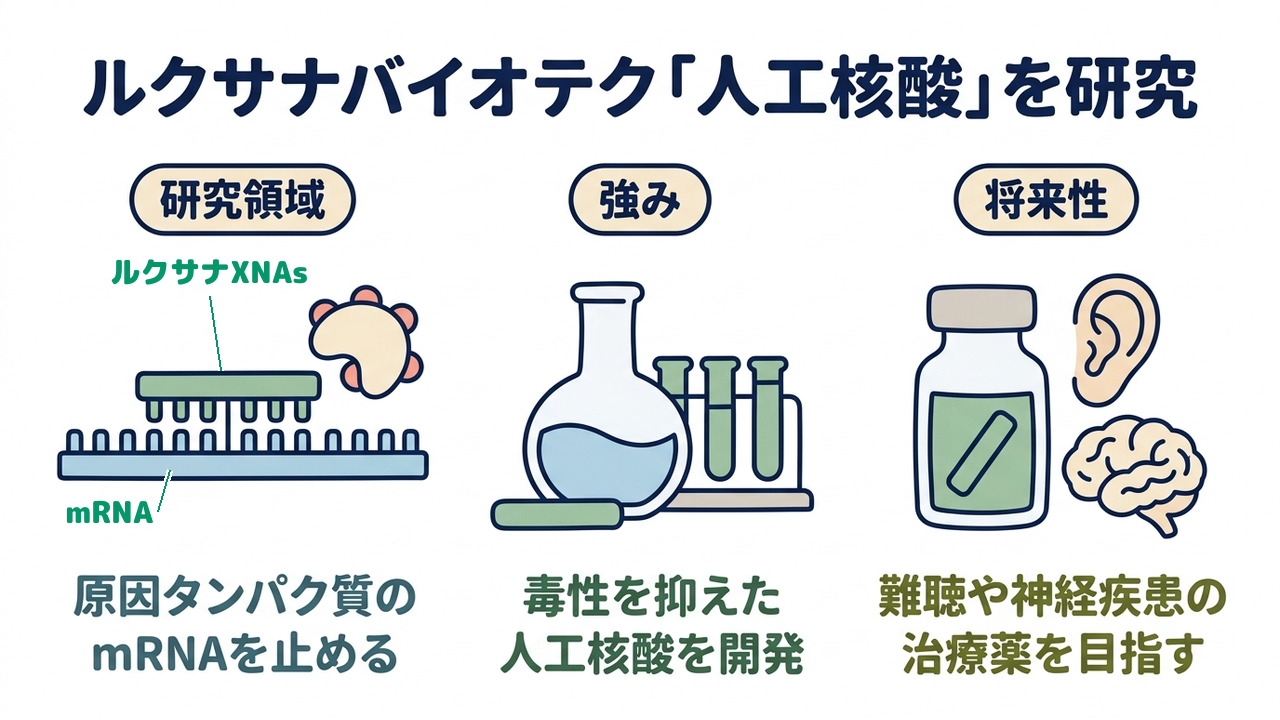 ルクサナバイオテク「人工核酸」を研究|研究領域=原因タンパク質のmRNAを止める/強み=毒性を抑えた人工核酸を開発/将来性=難聴や神経疾患の治療薬を目指す
