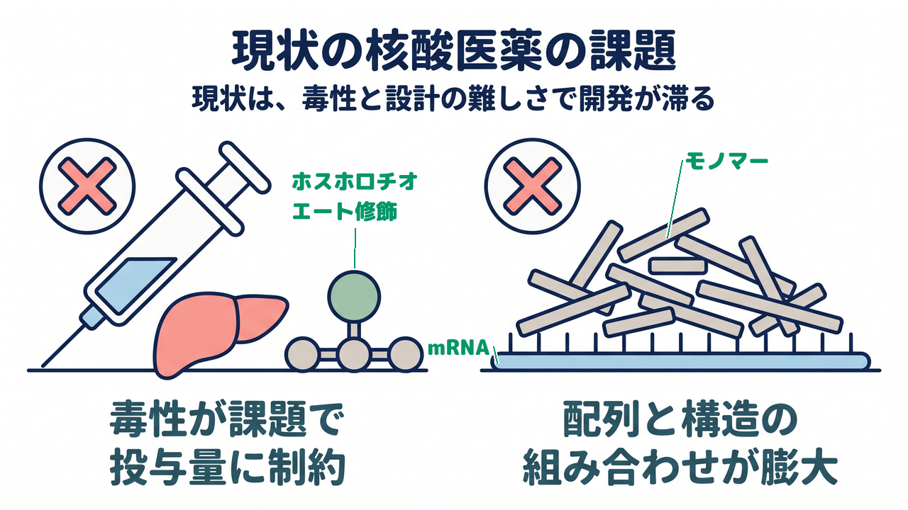 現状の核酸医薬の課題|現状は、毒性と設計の難しさで開発が滞る/毒性が課題で投与量に制約/配列と構造の組み合わせが膨大