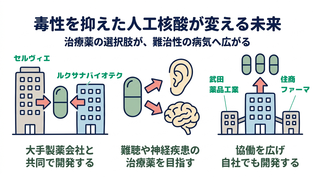 毒性を抑えた人工核酸が変える未来|治療薬の選択肢が、難治性の病気へ広がる/大手製薬会社と共同で開発する/難聴や神経疾患の治療薬を目指す/協働を広げ自社でも開発する