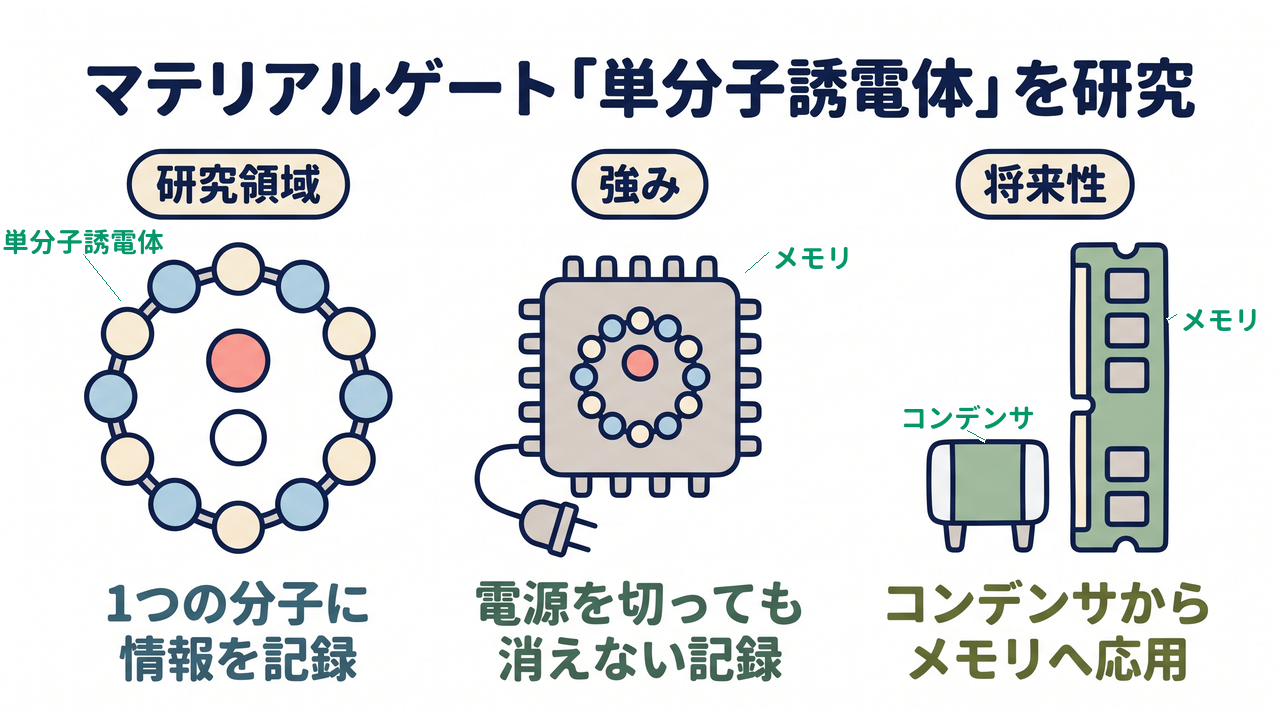 マテリアルゲート「単分子誘電体」を研究|研究領域=1つの分子に・情報を記録/強み=電源を切っても・消えない記録/将来性=コンデンサから・メモリへ応用