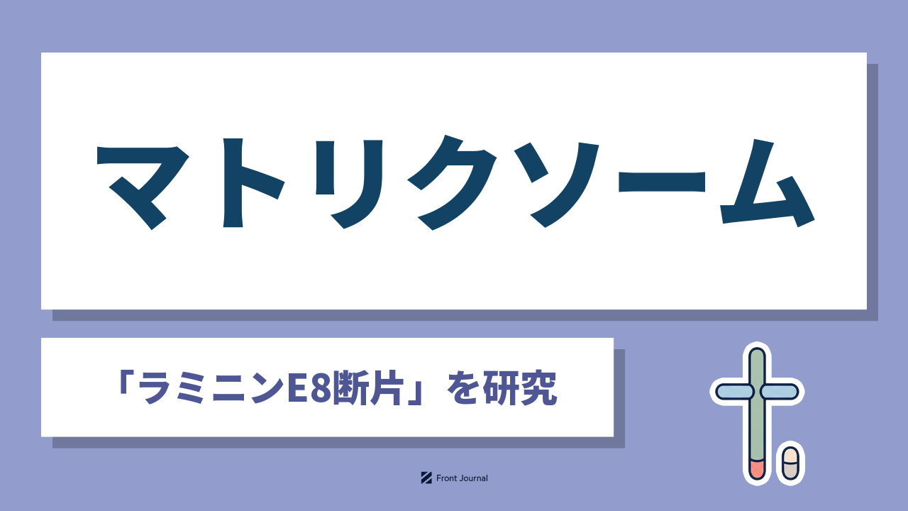 株式会社マトリクソーム（Matrixome）