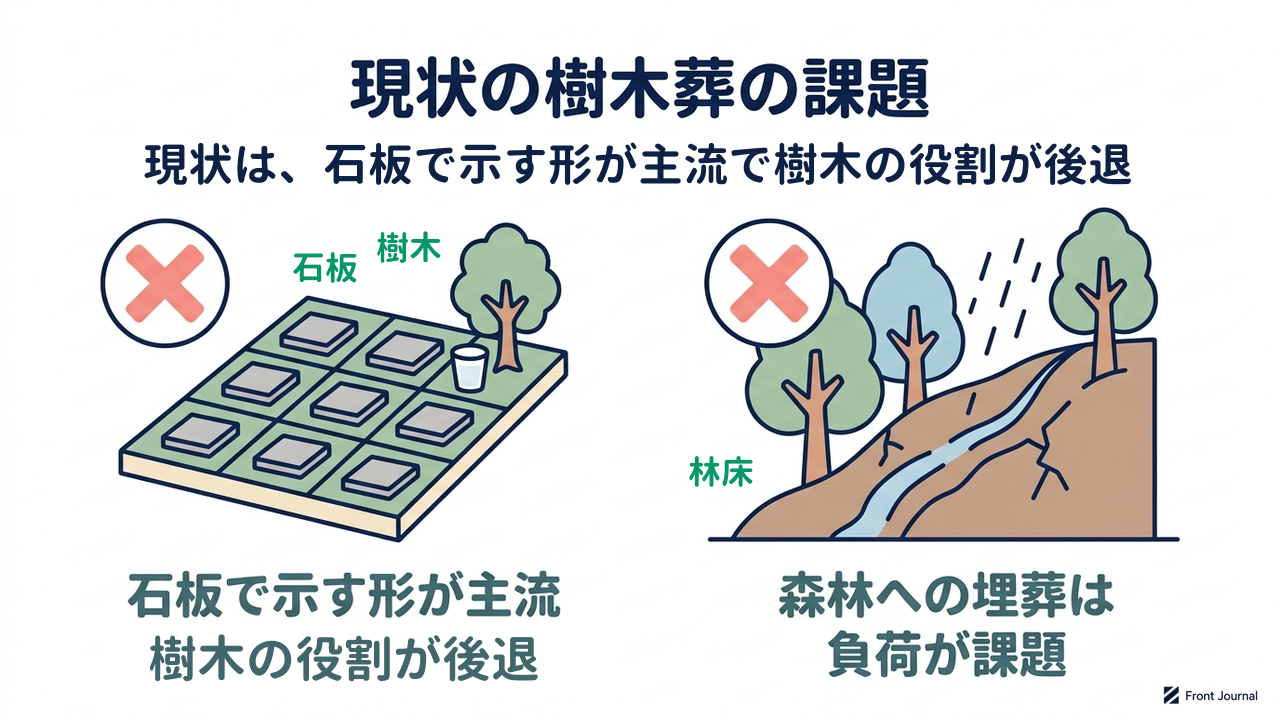 現状の樹木葬の課題｜現状は、石板で示す形が主流で樹木の役割が後退｜石板で示す形が主流樹木の役割が後退／森林への埋葬は負荷が課題
