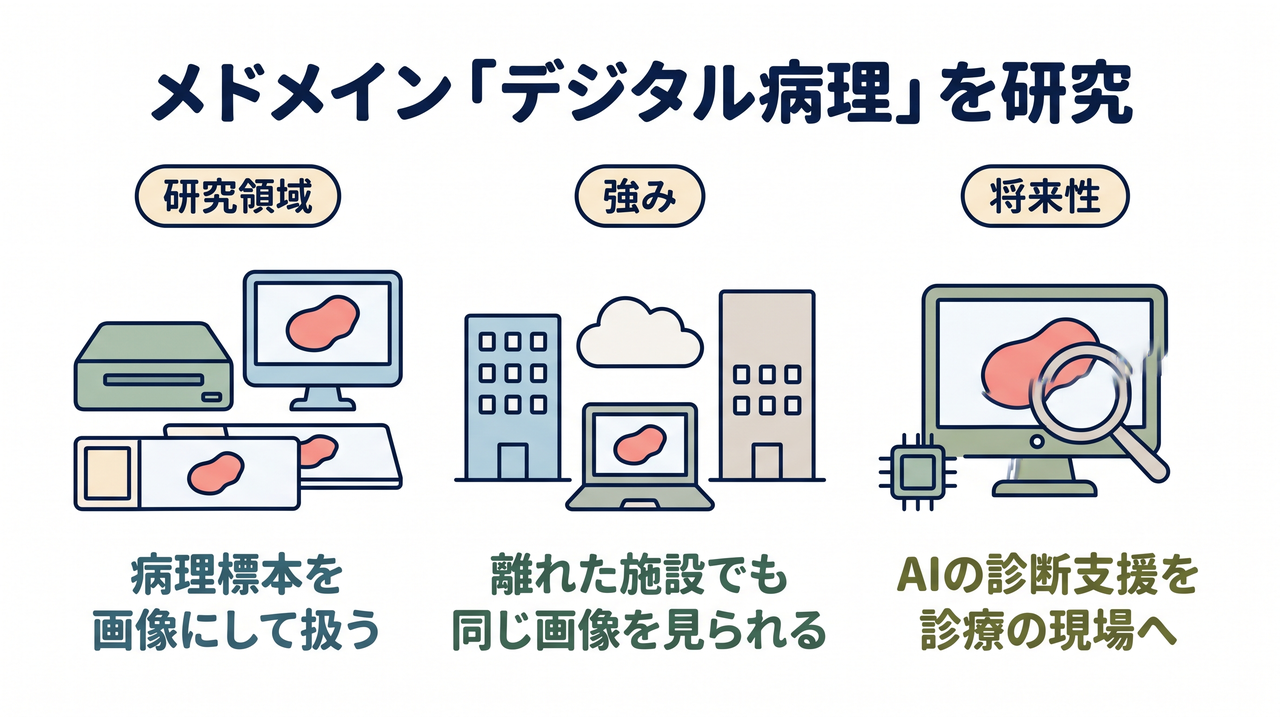 メドメイン「デジタル病理」を研究｜研究領域=病理標本を／画像にして扱う／強み=離れた施設でも／同じ画像を見られる／将来性=AIの診断支援を／診療の現場へ