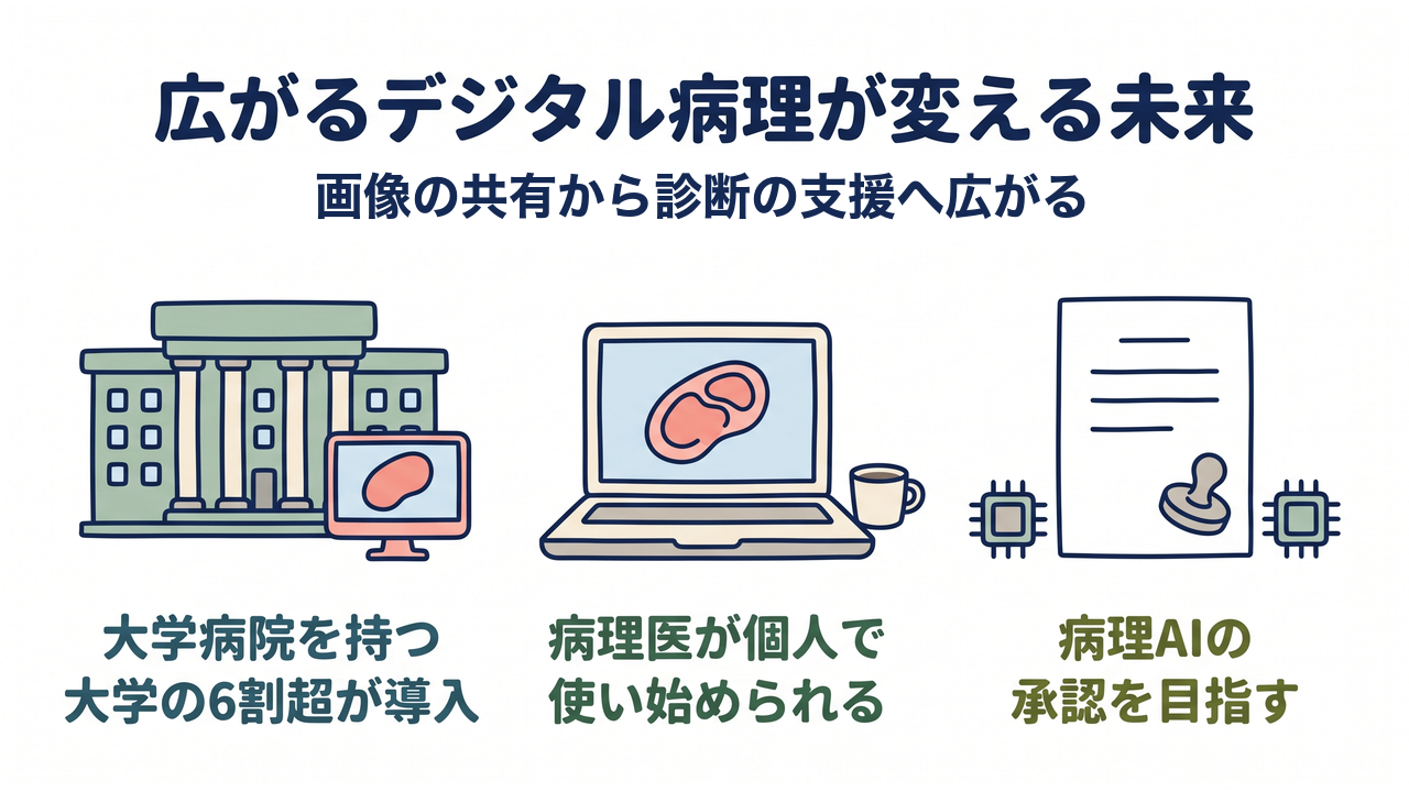 広がるデジタル病理が変える未来｜画像の共有から診断の支援へ広がる／大学病院を持つ／大学の6割超が導入／病理医が個人で／使い始められる／病理AIの／承認を目指す