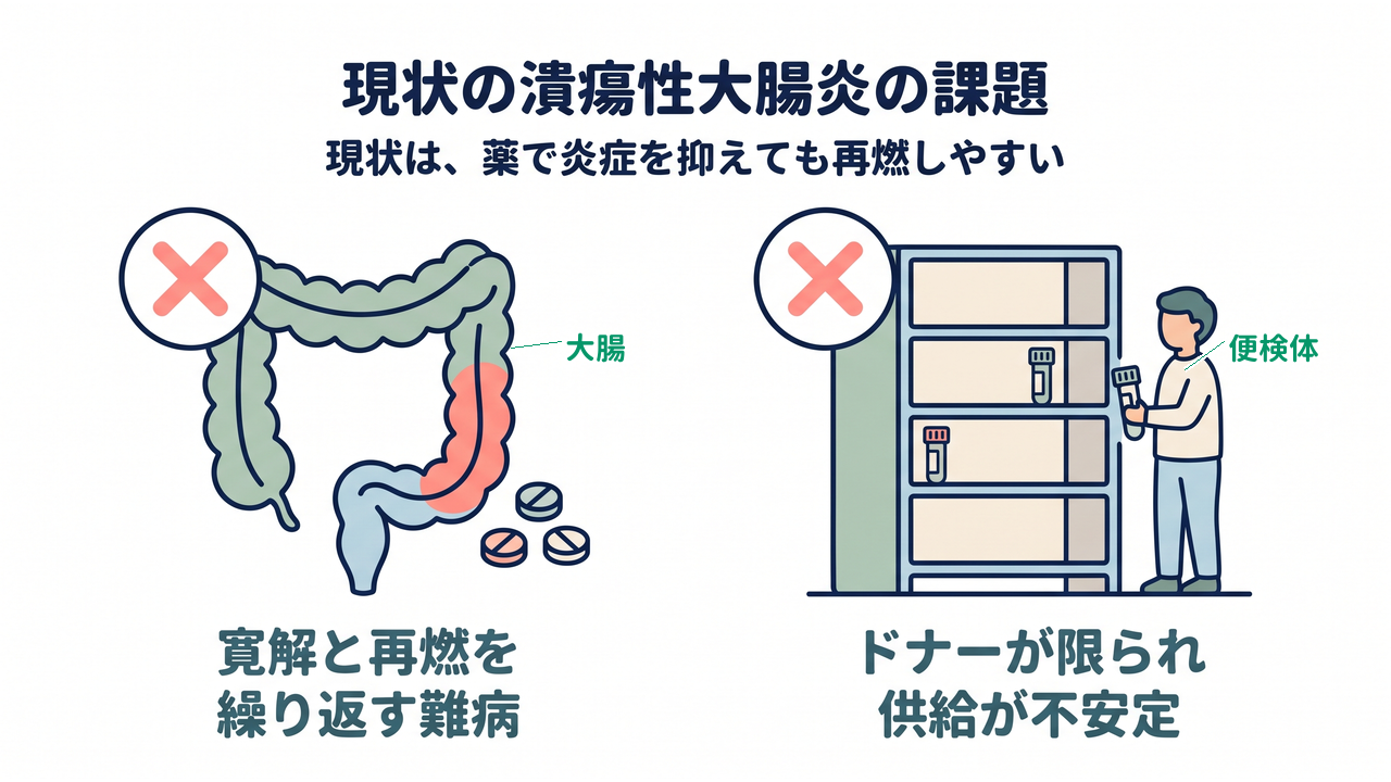 現状の潰瘍性大腸炎の課題｜寛解と再燃を繰り返す難病／条件を満たすドナーが限られ供給が不安定