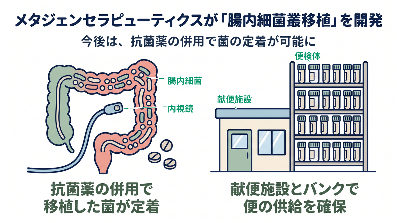 メタジェンセラピューティクスが「腸内細菌叢移植」を開発｜今後は、抗菌薬の併用で菌の定着が可能に｜抗菌薬の併用で移植した菌が定着／献便施設とバンクで便の供給を確保