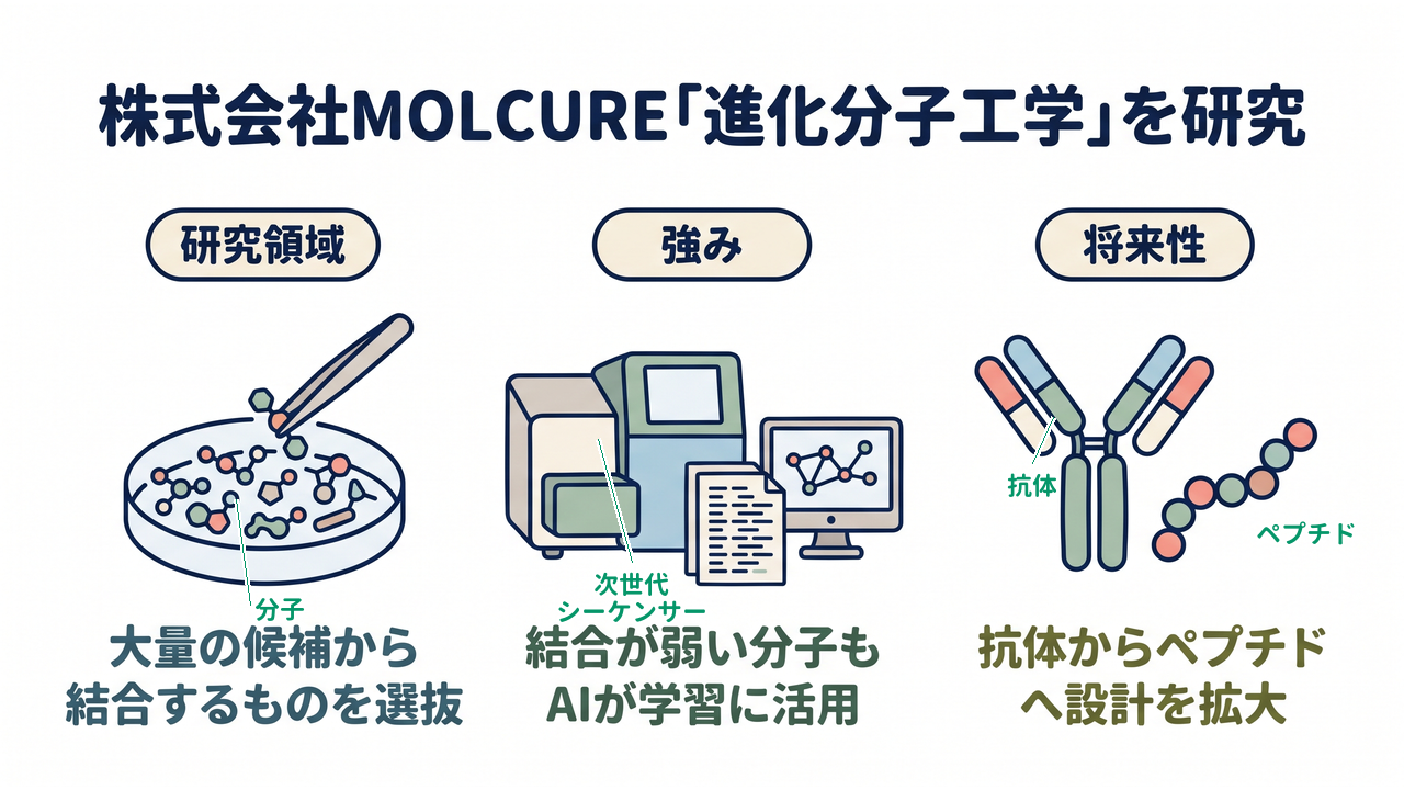 株式会社MOLCURE「進化分子工学」を研究｜研究領域=大量の候補から結合するものを選抜／強み=結合が弱い分子もAIが学習に活用／将来性=抗体からペプチドへ設計を拡大