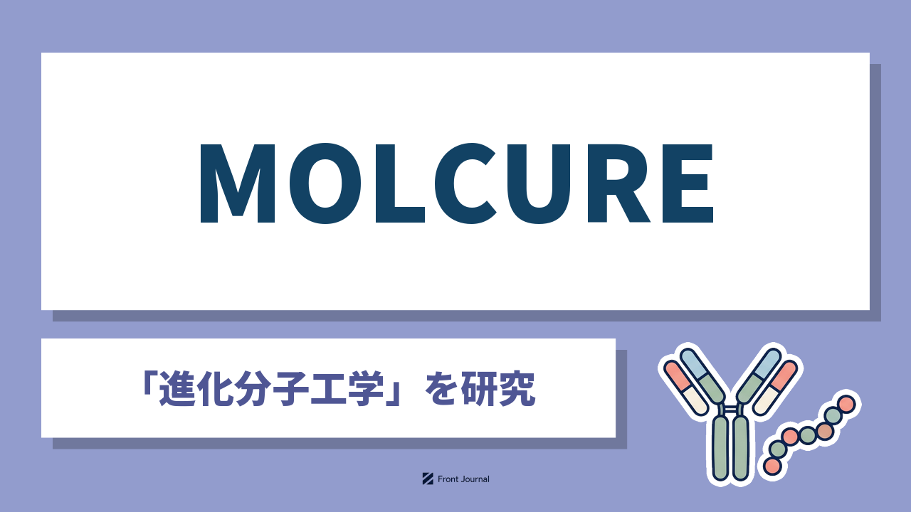 株式会社MOLCUREは進化分子工学とAIで抗体候補を探索する慶應義塾大学発の企業
