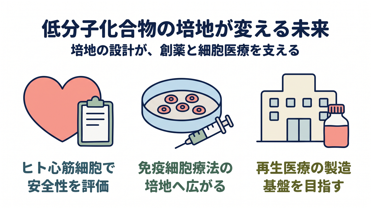 低分子化合物の培地が変える未来|培地の設計が、創薬と細胞医療を支える/ヒト心筋細胞で安全性を評価/免疫細胞療法の培地へ広がる/再生医療の製造基盤を目指す