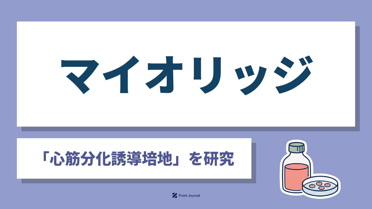 株式会社マイオリッジ｜低分子化合物でiPS細胞を心筋細胞へ分化させる培地を開発する京都大学発ディープテック