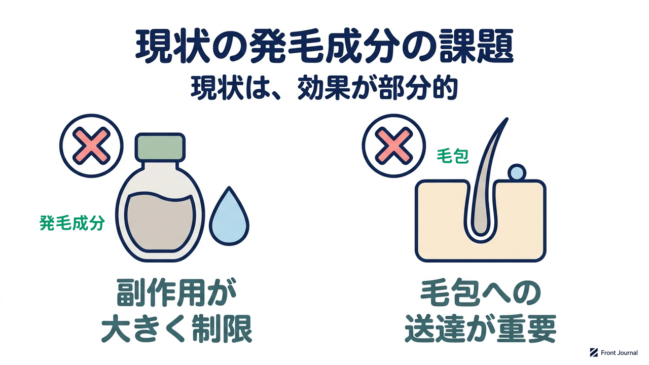 現状の発毛成分の課題