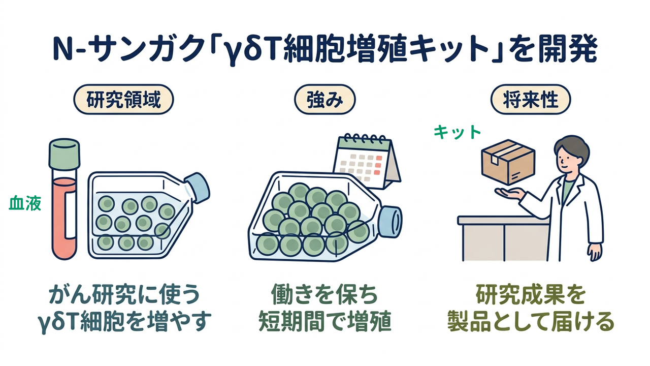 N-サンガク「γδT細胞増殖キット」を開発