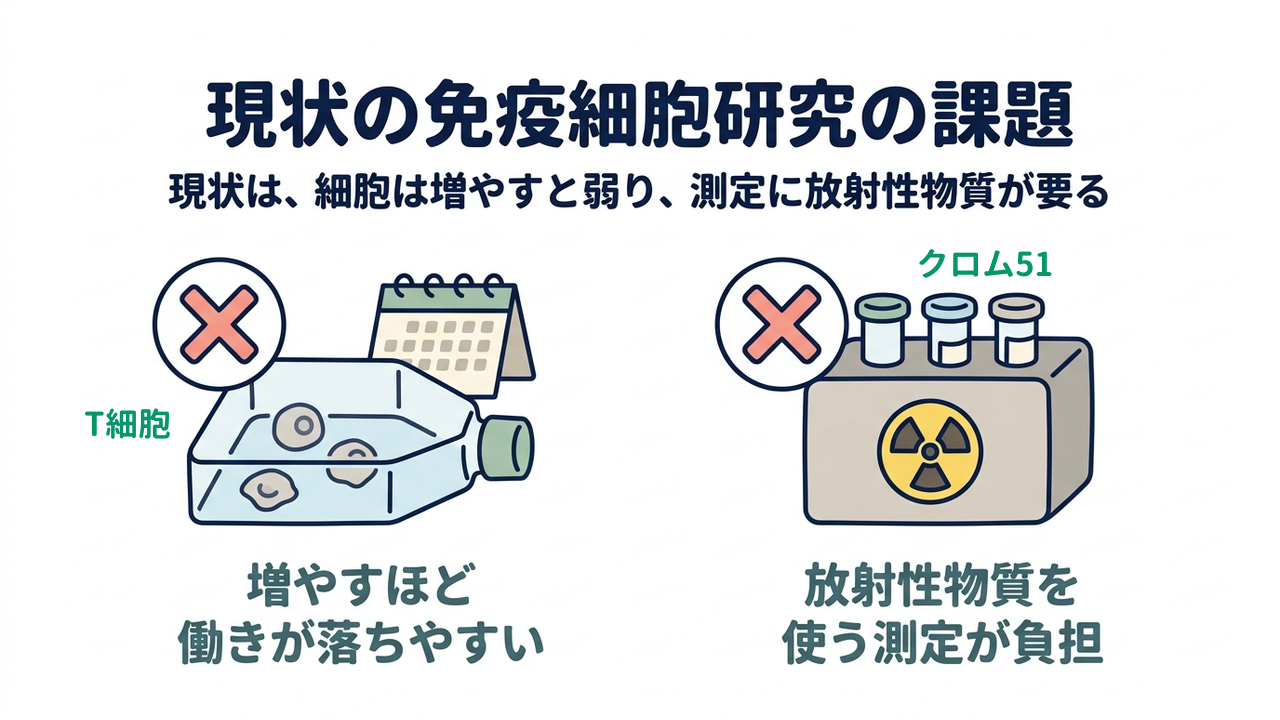 現状の免疫細胞研究の課題