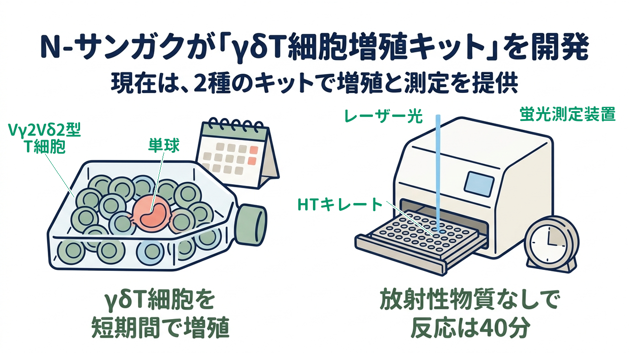 N-サンガクが「γδT細胞増殖キット」を開発