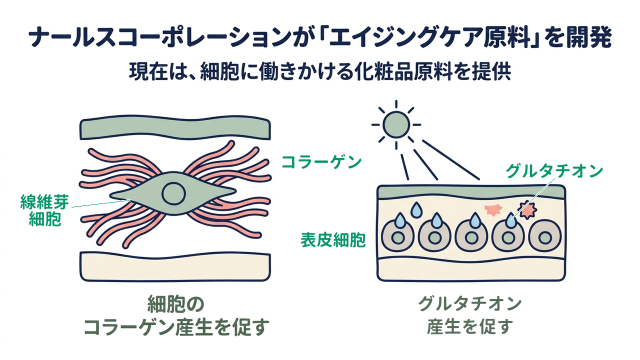 ナールスコーポレーションが「エイジングケア原料」を開発｜現在は、細胞に働きかける化粧品原料を提供／細胞のコラーゲン産生を促す／グルタチオン産生を促す