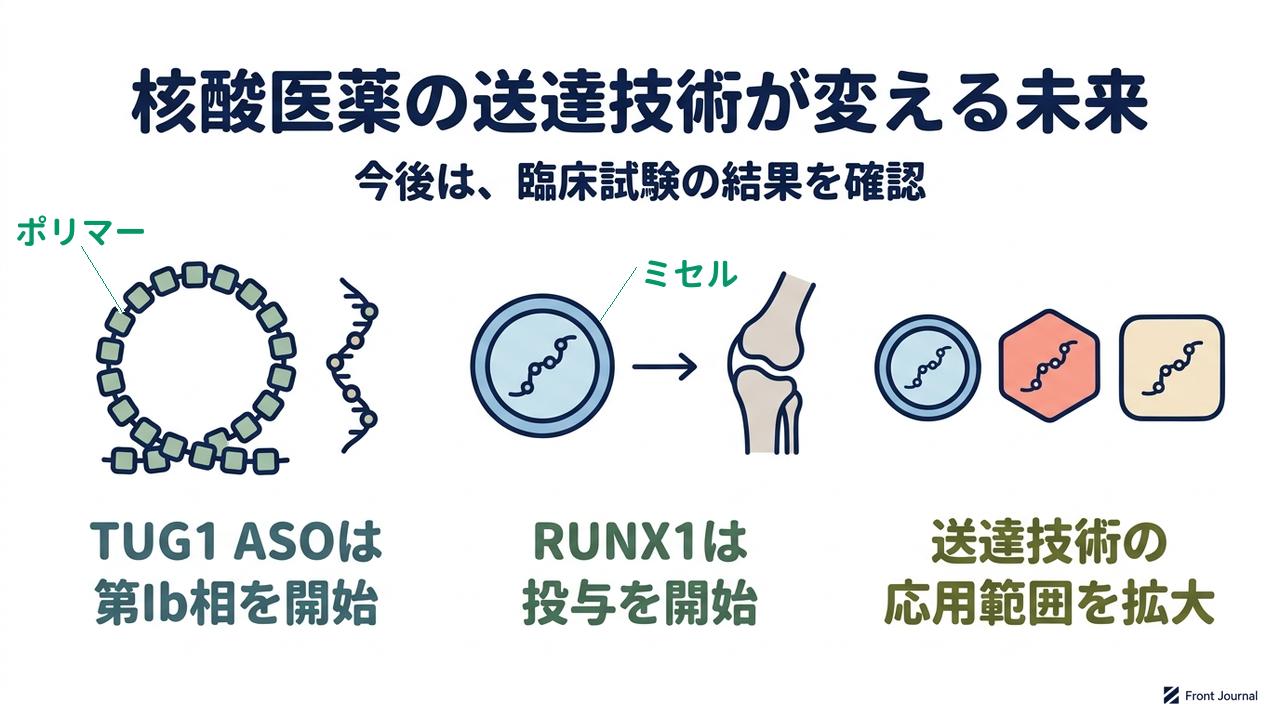 核酸医薬の送達技術が変える未来|今後は、臨床試験の結果を確認|TUG1 ASOは・第Ib相を開始/RUNX1は・投与を開始/送達技術の・応用範囲を拡大