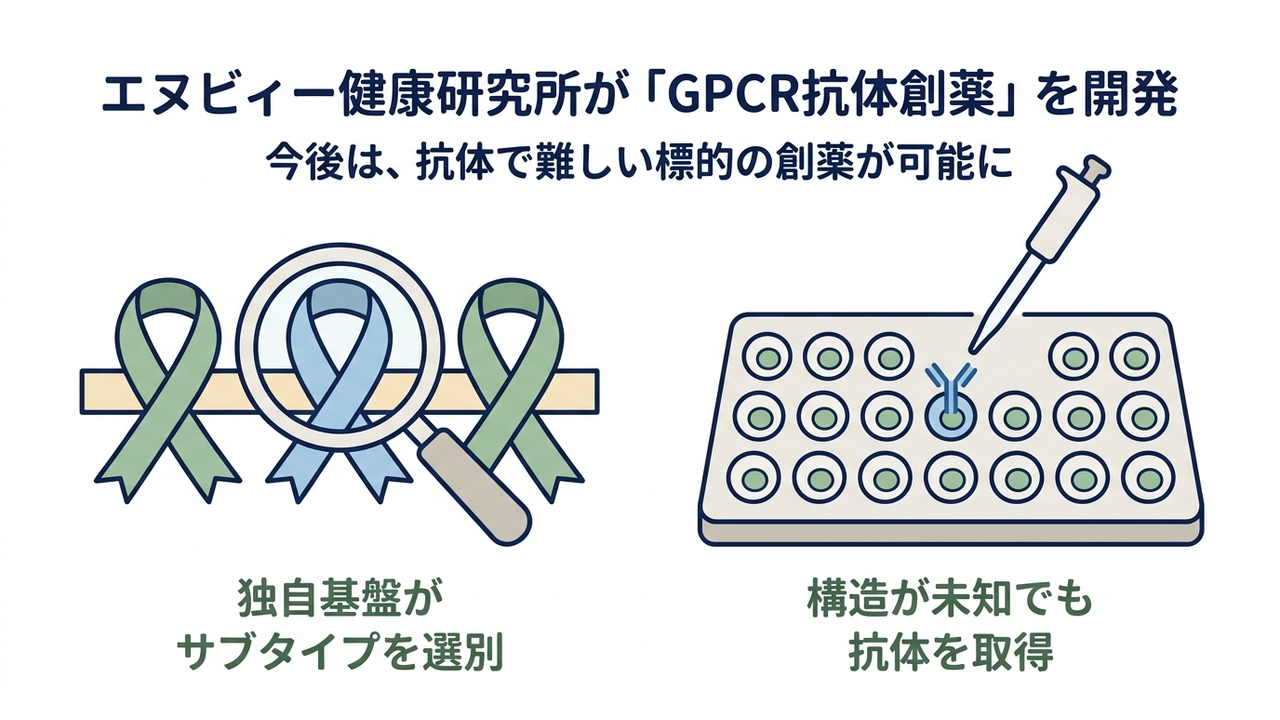エヌビィー健康研究所が「GPCR抗体創薬」を開発｜今後は、抗体で難しい標的の創薬が可能に／独自基盤がサブタイプを選別／構造が未知でも抗体を取得