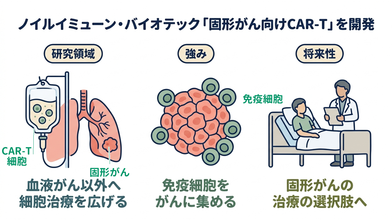 ノイルイミューン・バイオテック「固形がん向けCAR-T」を開発｜研究領域=血液がん以外へ細胞治療を広げる／強み=免疫細胞をがんに集める／将来性=固形がんの治療の選択肢へ