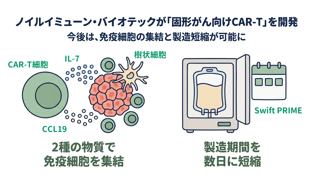 ノイルイミューン・バイオテックが「固形がん向けCAR-T」を開発｜今後は、免疫細胞の集結と製造短縮が可能に／2種の物質で免疫細胞を集結／製造期間を数日に短縮