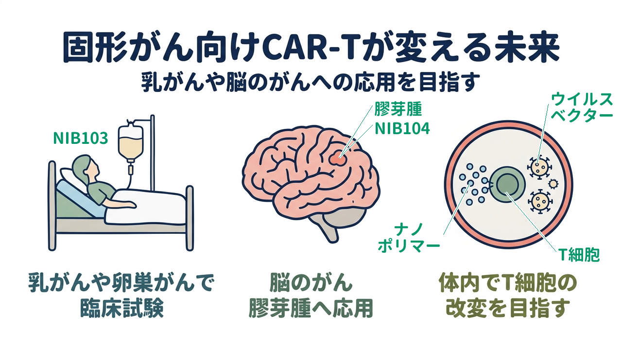 固形がん向けCAR-Tが変える未来｜乳がんや脳のがんへの応用を目指す／乳がんや卵巣がんで臨床試験／脳のがん膠芽腫へ応用／体内でT細胞の改変を目指す