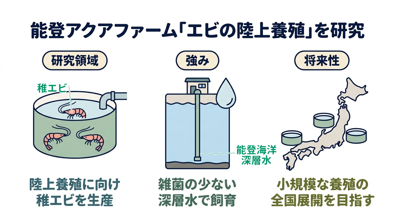 能登アクアファーム「エビの陸上養殖」を研究