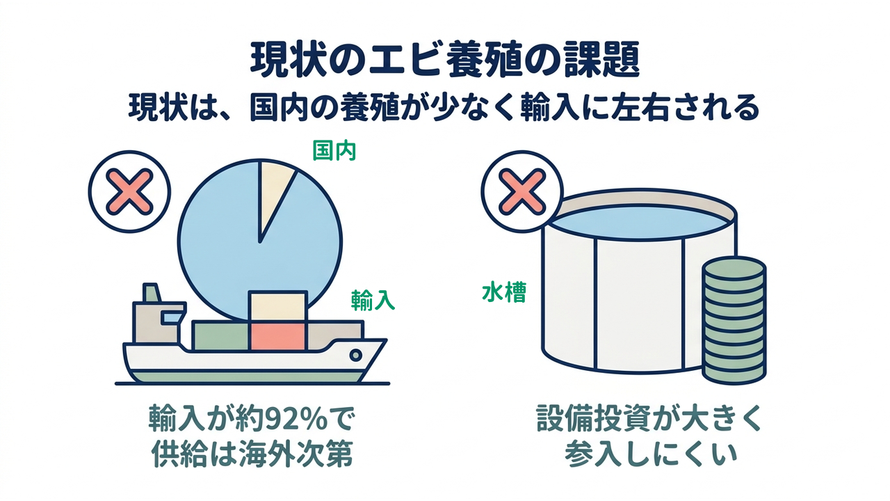 現状のエビ養殖の課題