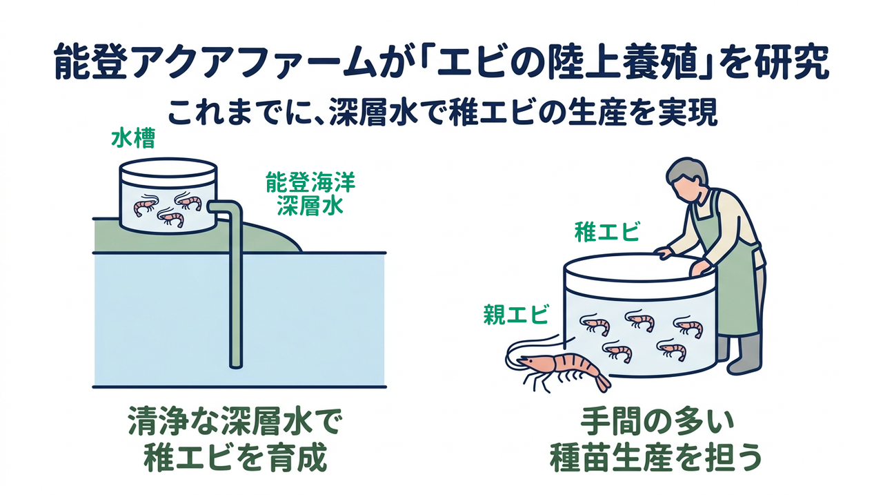 能登アクアファームが「エビの陸上養殖」を研究