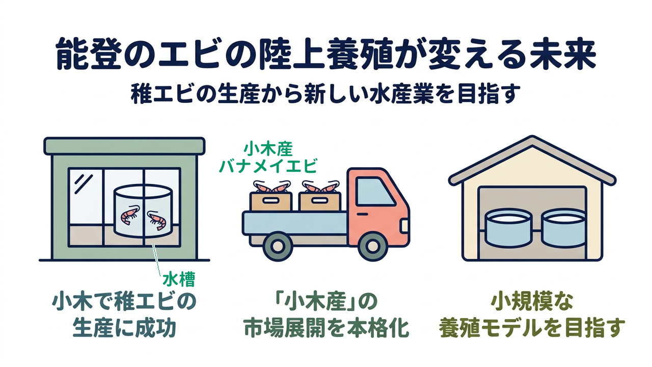 能登のエビの陸上養殖が変える未来