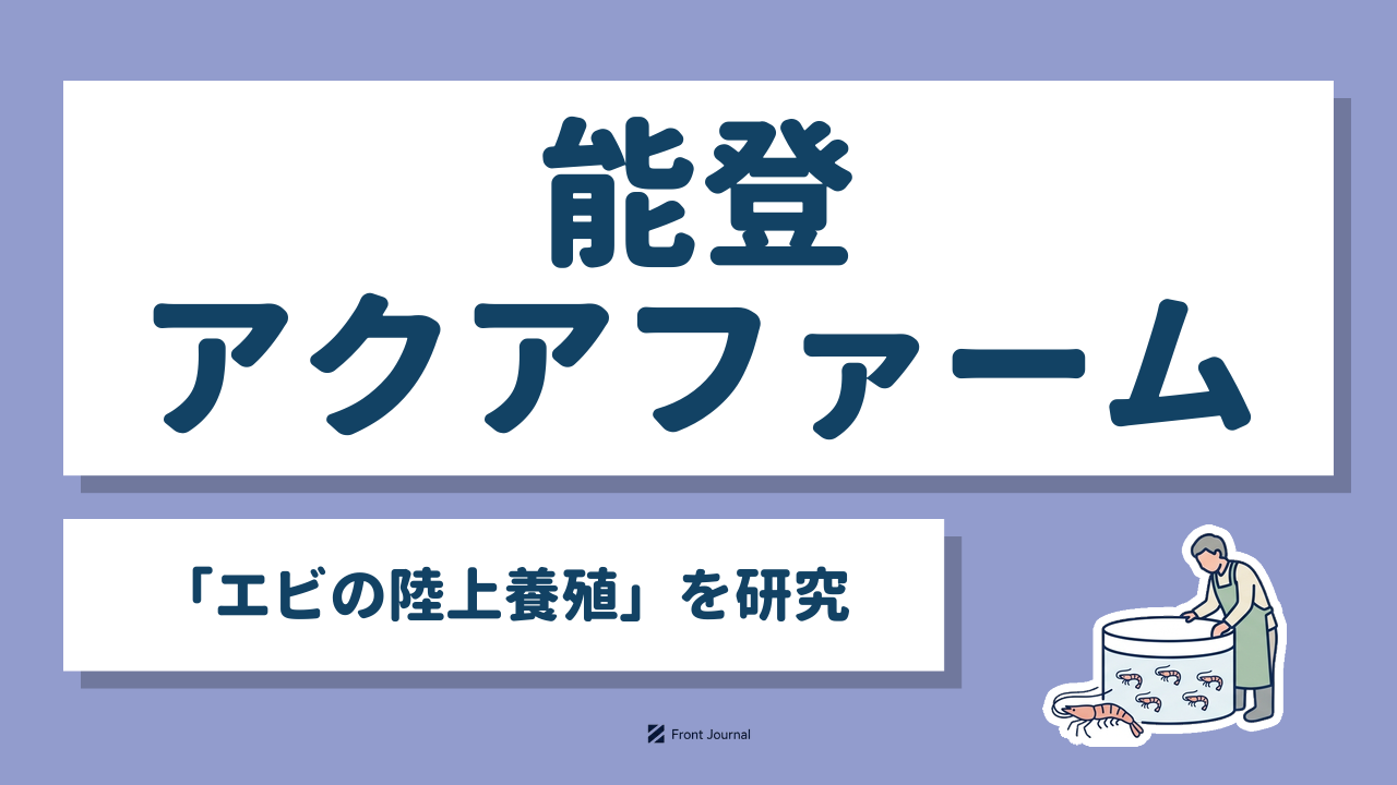 能登アクアファーム「エビの陸上養殖」を研究