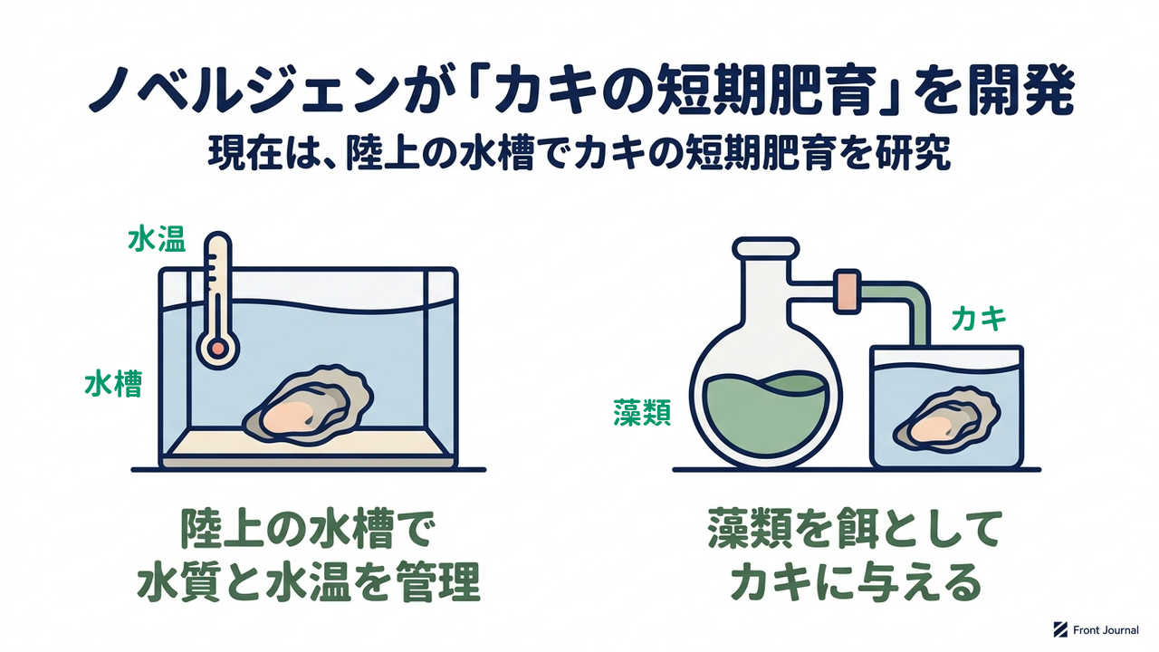 ノベルジェンが「カキの短期肥育」を開発|現在は、陸上の水槽でカキの短期肥育を研究|陸上の水槽で・水質と水温を管理/藻類を餌として・カキに与える