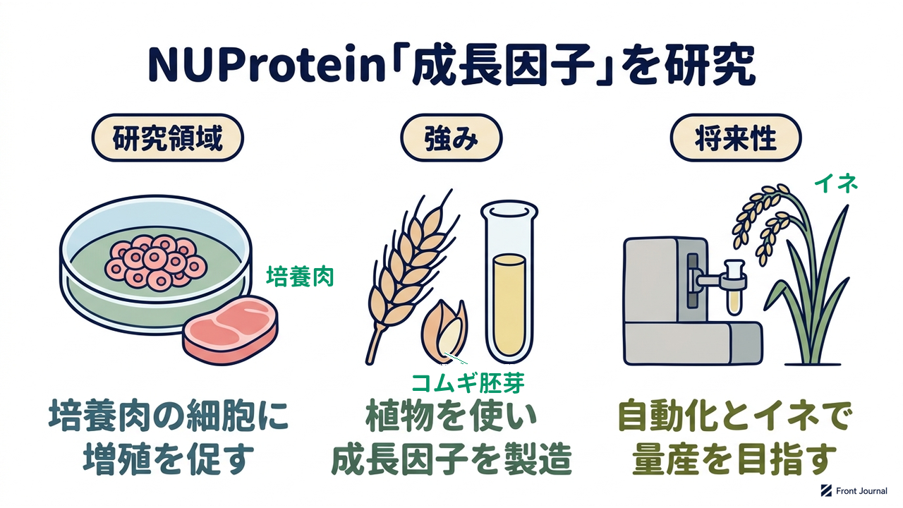 NUProtein「成長因子」を研究