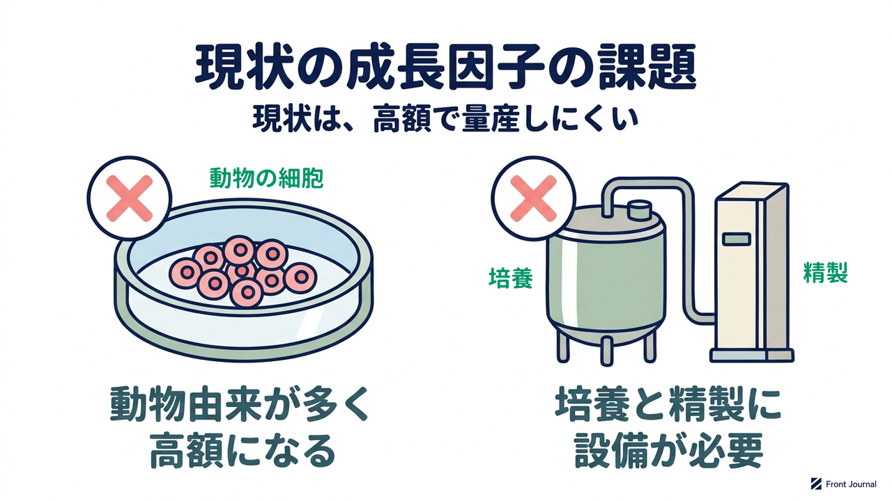 現状の成長因子の課題