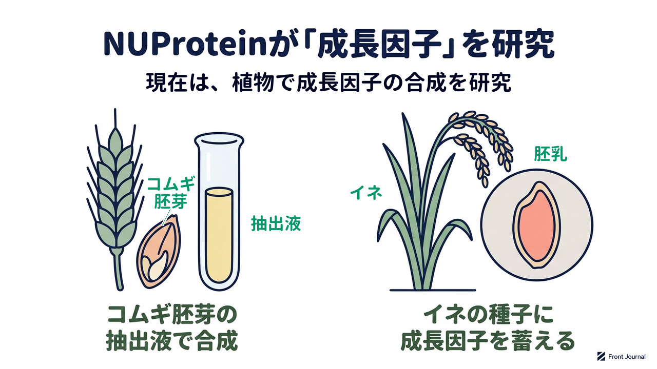 NUProteinが「成長因子」を研究