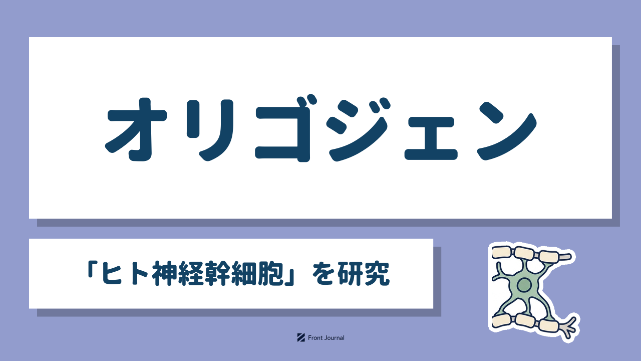 オリゴジェン「ヒト神経幹細胞」を研究｜髄鞘を作るオリゴデンドロサイトのイラスト