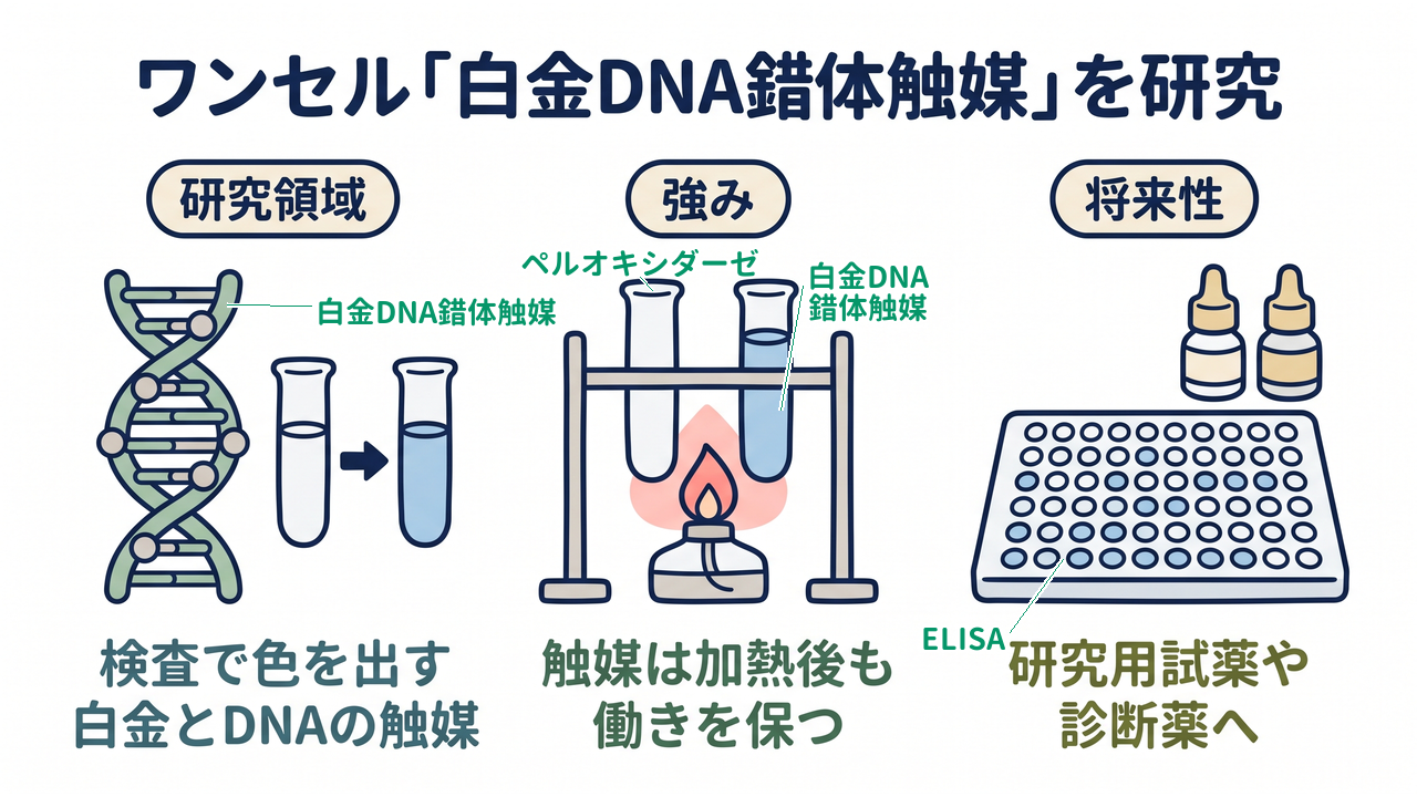 ワンセル「白金DNA錯体触媒」を研究|研究領域=検査で色を出す・白金とDNAの触媒/強み=触媒は加熱後も・働きを保つ/将来性=研究用試薬や・診断薬へ