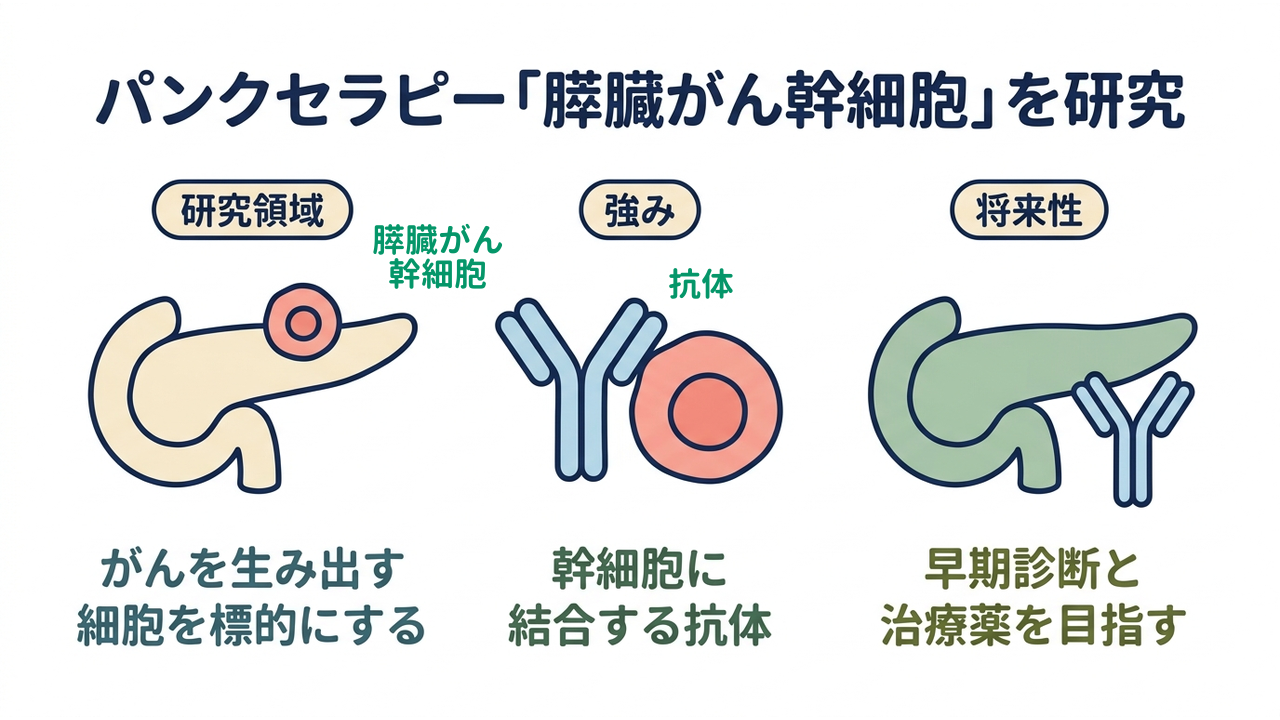 パンクセラピー「膵臓がん幹細胞」を研究｜研究領域=がんを生み出す・細胞を標的にする／強み=幹細胞に・結合する抗体／将来性=早期診断と・治療薬を目指す