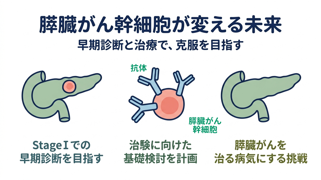 膵臓がん幹細胞が変える未来｜早期診断と治療で、克服を目指す｜StageⅠでの・早期診断を目指す／治験に向けた・基礎検討を計画／膵臓がんを・治る病気にする挑戦