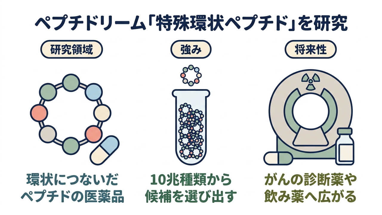 ペプチドリーム「特殊環状ペプチド」を研究｜研究領域=環状につないだペプチドの医薬品／強み=10兆種類から候補を選び出す／将来性=がんの診断薬や飲み薬へ広がる