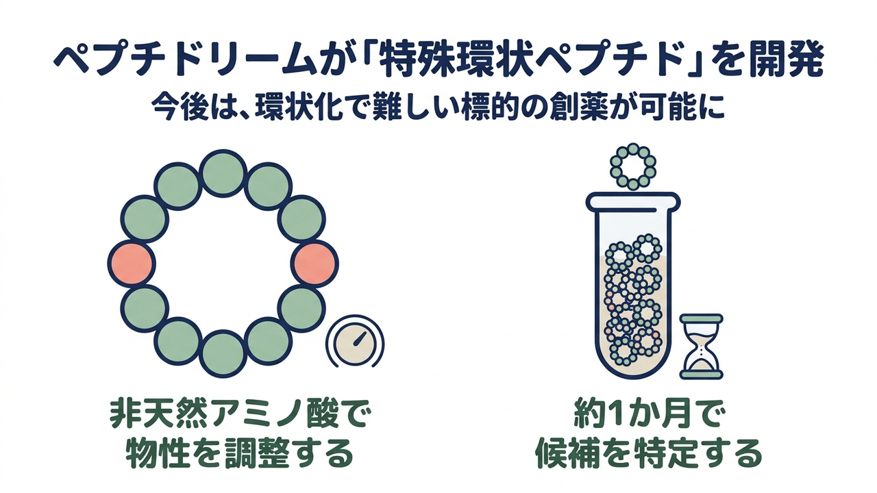 ペプチドリームが「特殊環状ペプチド」を開発｜今後は、環状化で難しい標的の創薬が可能に／非天然アミノ酸で物性を調整する／約1か月で候補を特定する