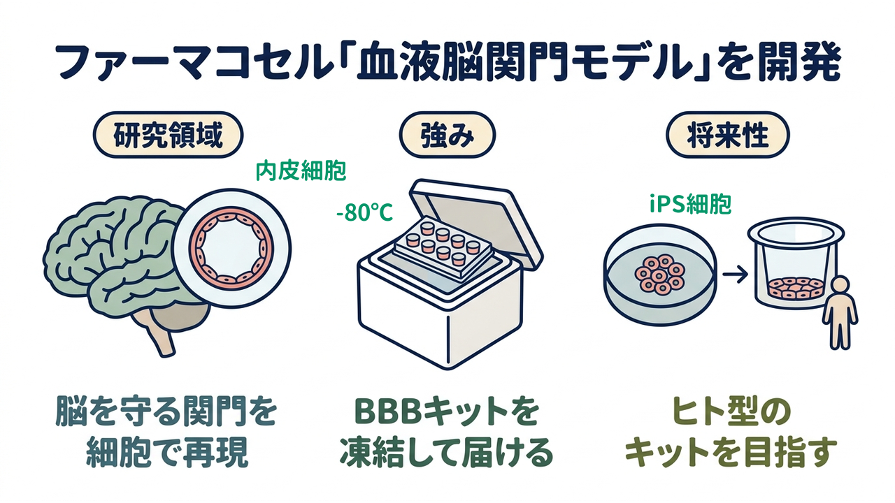 ファーマコセル「血液脳関門モデル」を開発