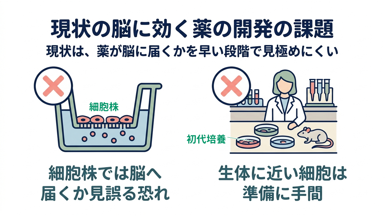 現状の脳に効く薬の開発の課題