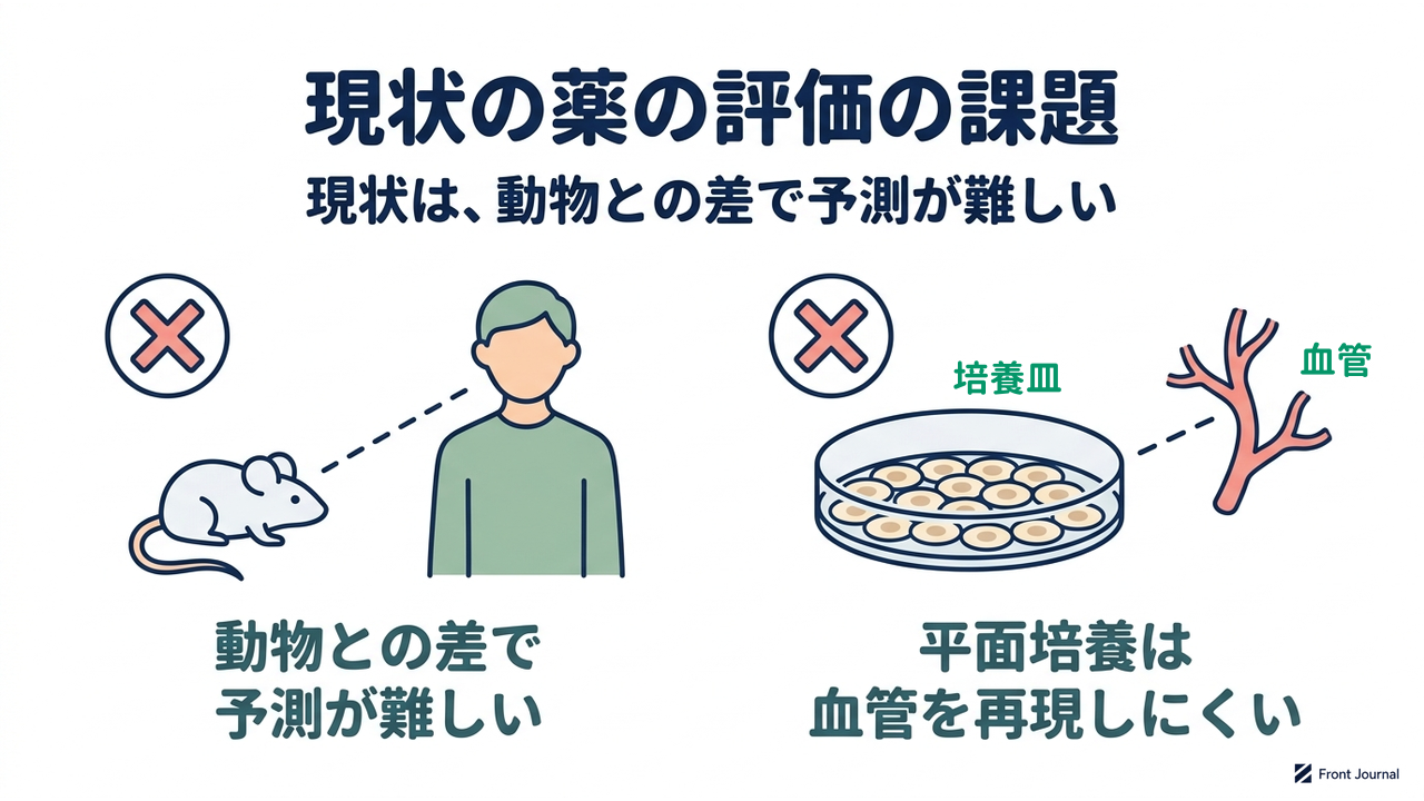 現状の薬の評価の課題|現状は、動物との差で予測が難しい/動物との差で予測が難しい/平面培養は血管を再現しにくい