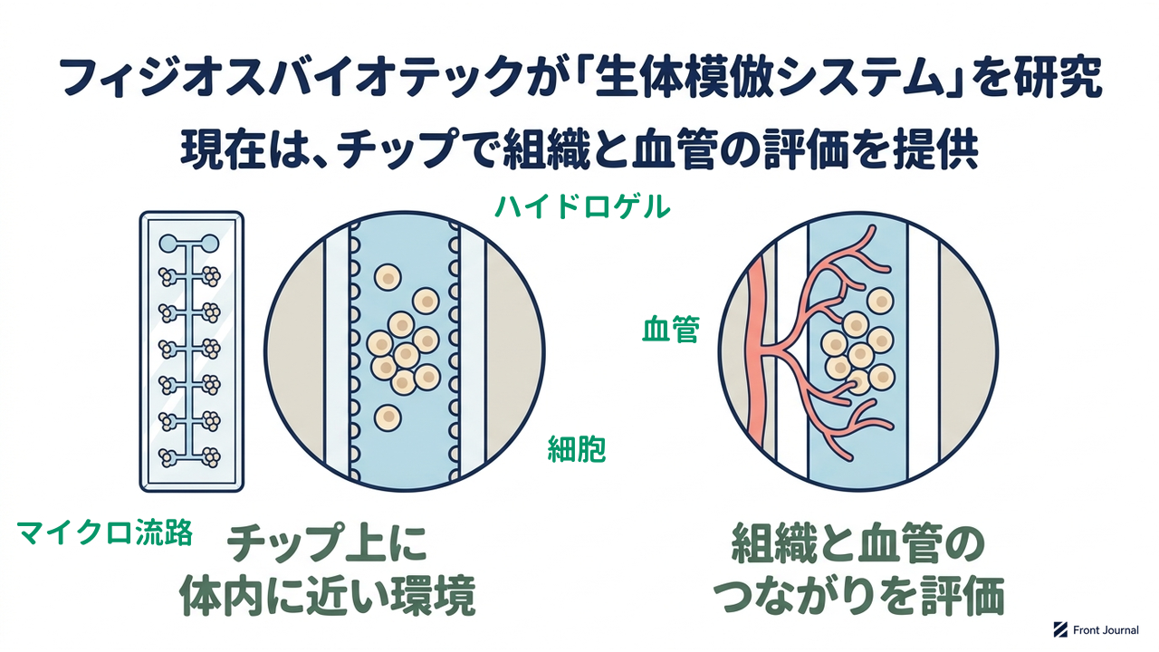 フィジオスバイオテックが「生体模倣システム」を研究|現在は、チップで組織と血管の評価を提供/チップ上に体内に近い環境/組織と血管のつながりを評価