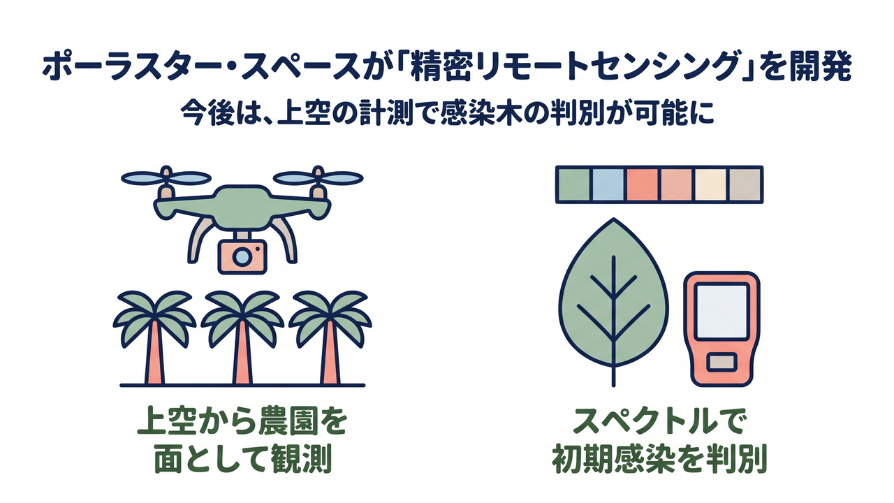 ポーラスター・スペースが「精密リモートセンシング」を開発|今後は、上空の計測で感染木の判別が可能に。カメラを積んだドローンで示す上空から農園を面として観測、葉と分光器で示すスペクトルで初期感染を判別