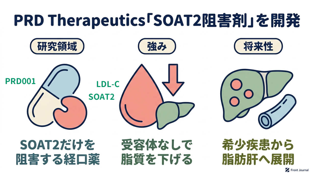 PRD Therapeutics「SOAT2阻害剤」を開発|研究領域=SOAT2だけを阻害する経口薬/強み=受容体なしで脂質を下げる/将来性=希少疾患から脂肪肝へ展開