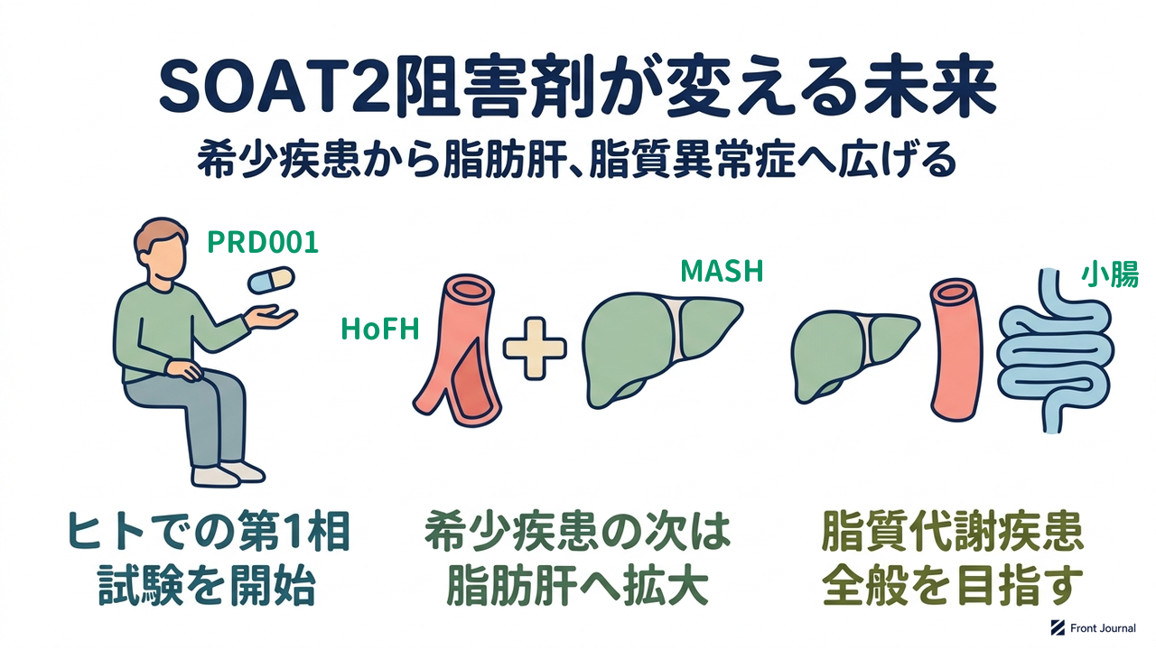 SOAT2阻害剤が変える未来|ヒトでの第1相試験を開始/希少疾患の次は脂肪肝へ拡大/脂質代謝疾患全般を目指す