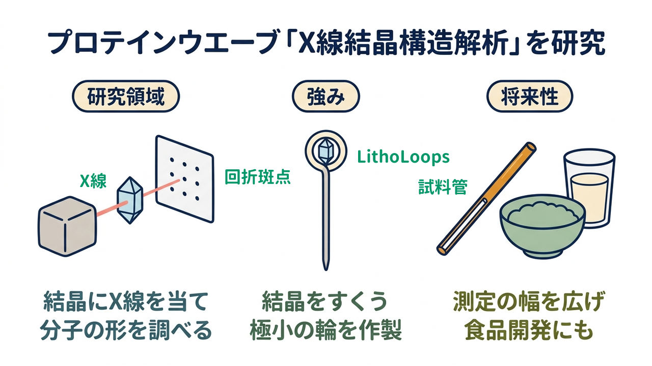 プロテインウエーブ「X線結晶構造解析」を研究｜研究領域=結晶にX線を当て分子の形を調べる／強み=結晶をすくう極小の輪を作製／将来性=測定の幅を広げ食品開発にも