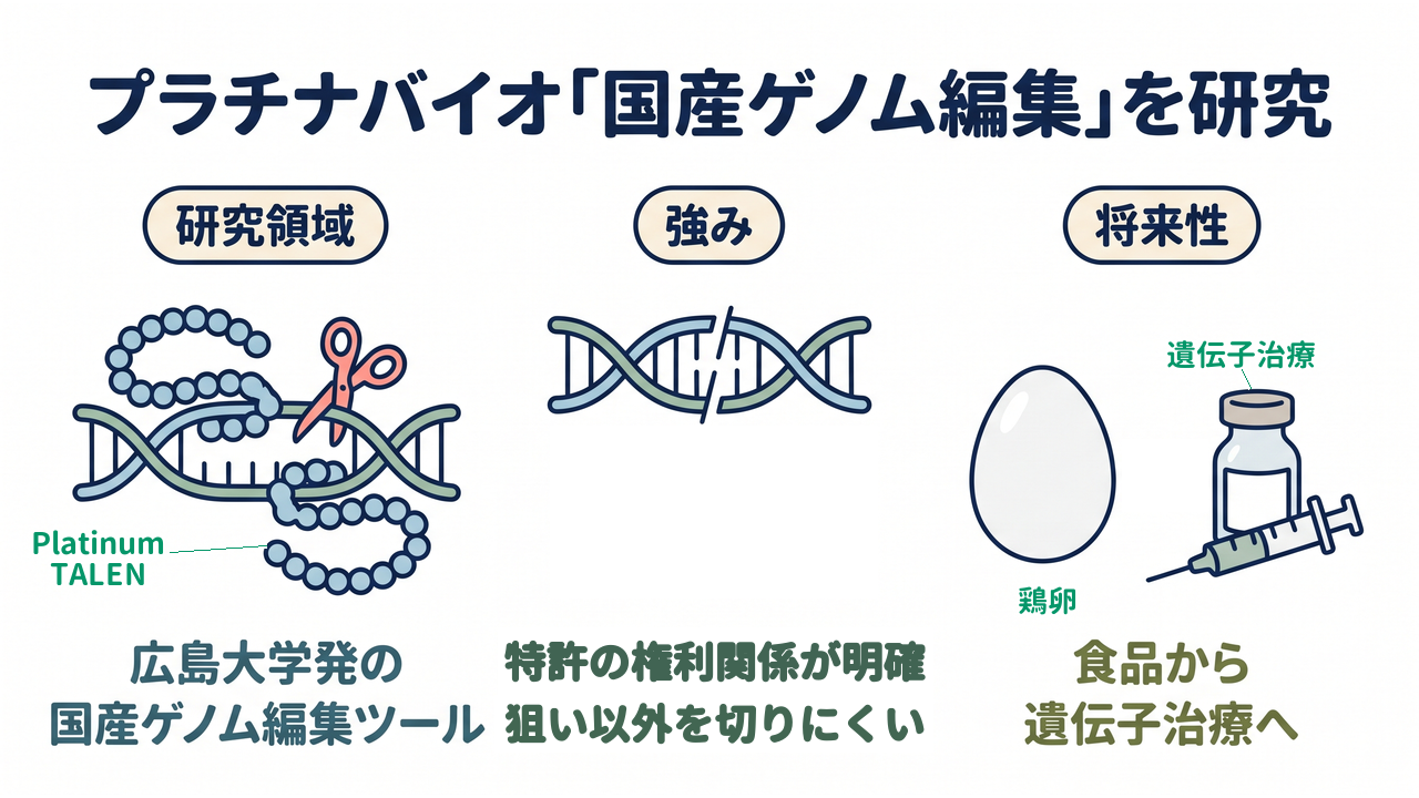 プラチナバイオ「国産ゲノム編集」を研究|研究領域=広島大学発の・国産ゲノム編集ツール/強み=特許の権利関係が明確・狙い以外を切りにくい/将来性=食品から・遺伝子治療へ