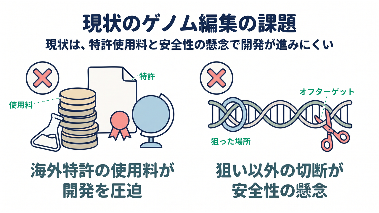 現状のゲノム編集の課題|現状は、特許使用料と安全性の懸念で開発が進みにくい|海外特許の使用料が・開発を圧迫/狙い以外の切断が・安全性の懸念